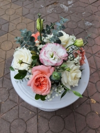 Bò bàn, bát hoa để bàn MS12