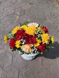 Bò bàn, bát hoa để bàn MS17