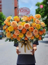 Hộp hoa, giỏ hoa chúc mừng MS570