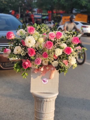 Hộp hoa, giỏ hoa chúc mừng MS206