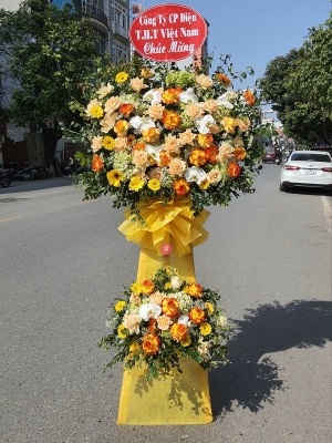 Kệ hoa khai trương, chúc mừng MS209