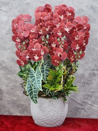 Bình hồ điệp giả GN MS 03