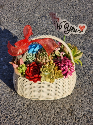 Giỏ sen đá GN MS14