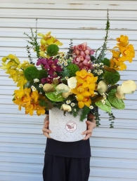 Bình địa lan MSL103