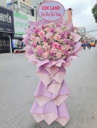 Kệ hoa khai trương, chúc mừng MS436