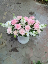 Bò bàn, bát hoa để bàn MS22