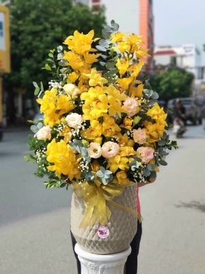 Bình địa lan HTL17