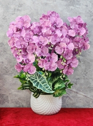 Bình hồ điệp giả GN MS 06