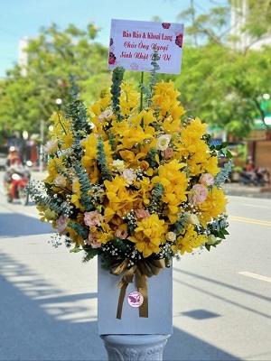 Bình địa lan MSL101