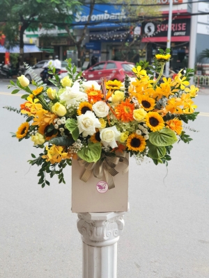 Hộp hoa, giỏ hoa chúc mừng MS59