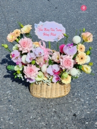 Hộp hoa, giỏ hoa chúc mừng MS579