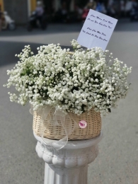 Giỏ hoa baby MSL65