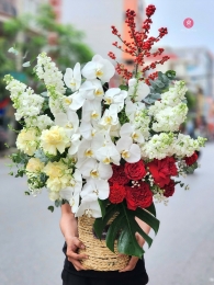 Hộp hoa, giỏ hoa chúc mừng MS607