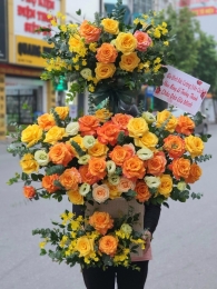 Hộp hoa, giỏ hoa chúc mừng MS436