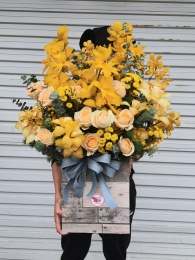 Bình địa lan MSL96