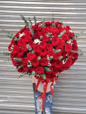 Bình hồng đỏ MSL36