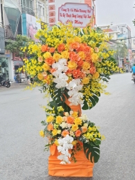 Kệ hoa khai trương, chúc mừng MS429