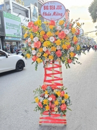Kệ hoa khai trương, chúc mừng MS428